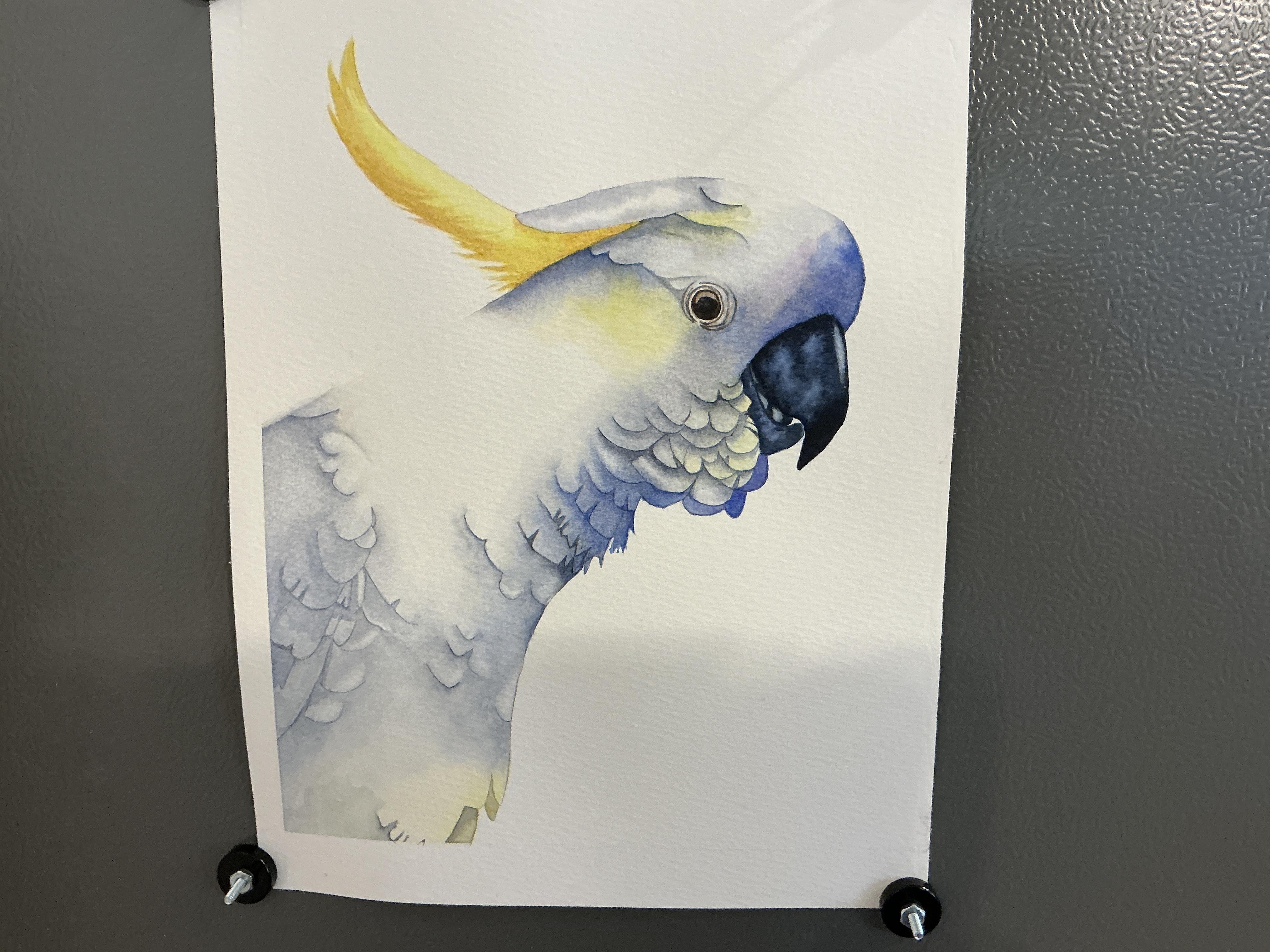 more-projects-from-class-img