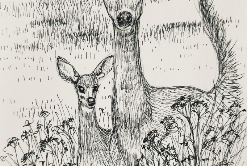 Deer in Ink