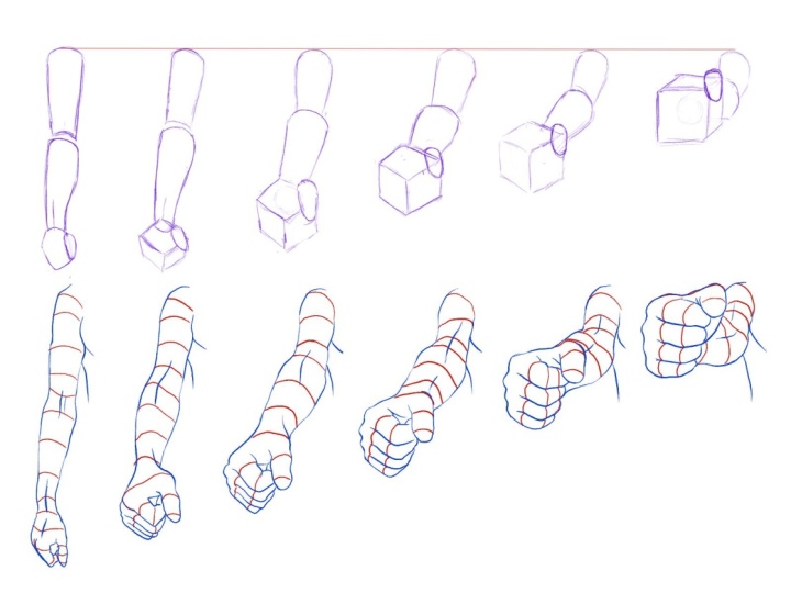 Arm construction lines and forms
