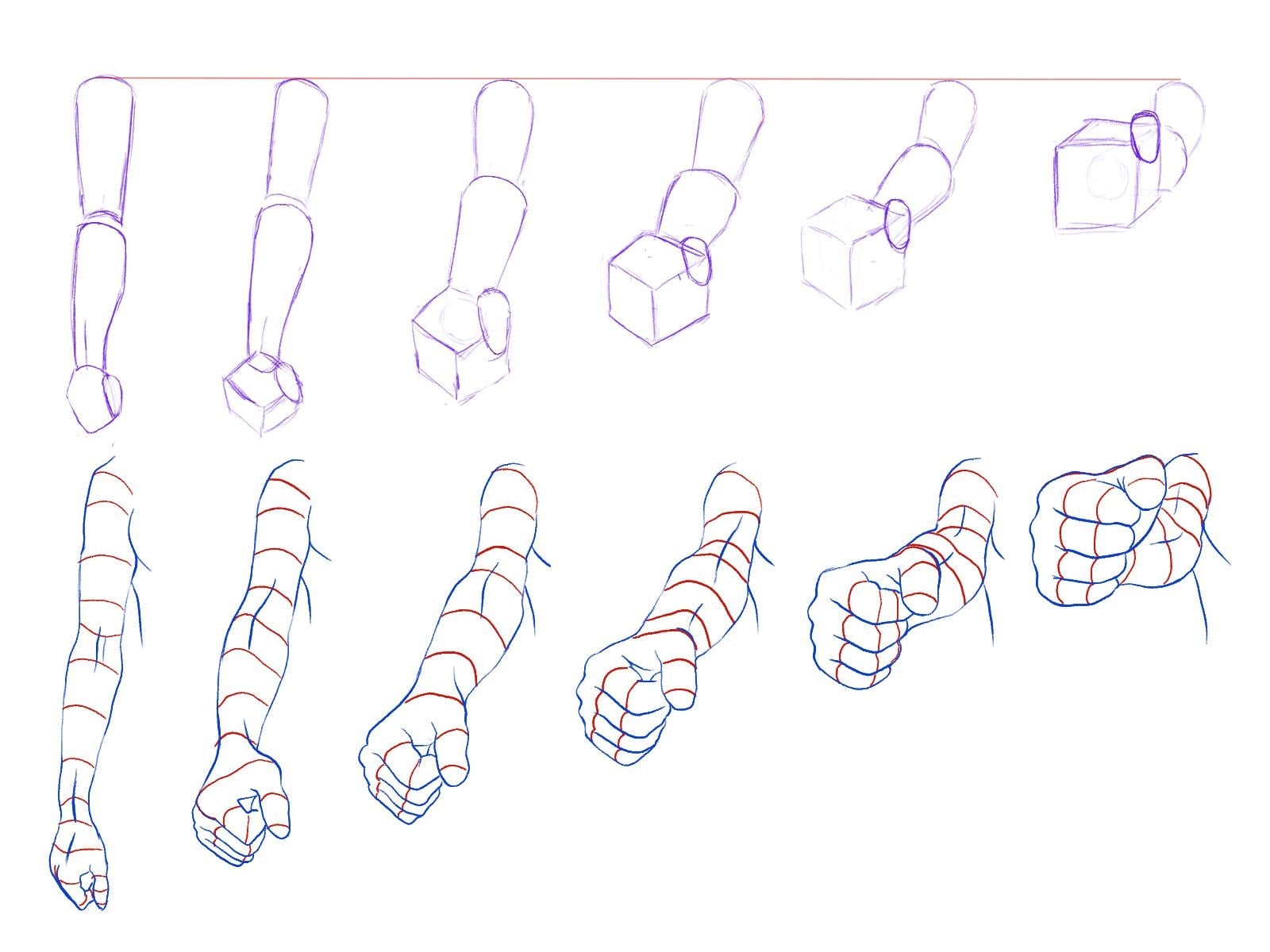 Arm construction lines and forms - student project