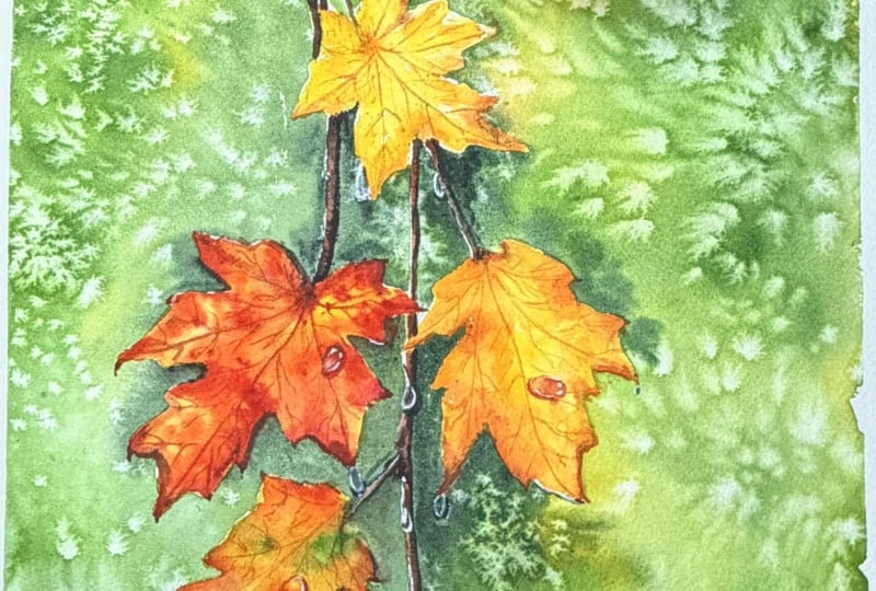Autumn Leaves