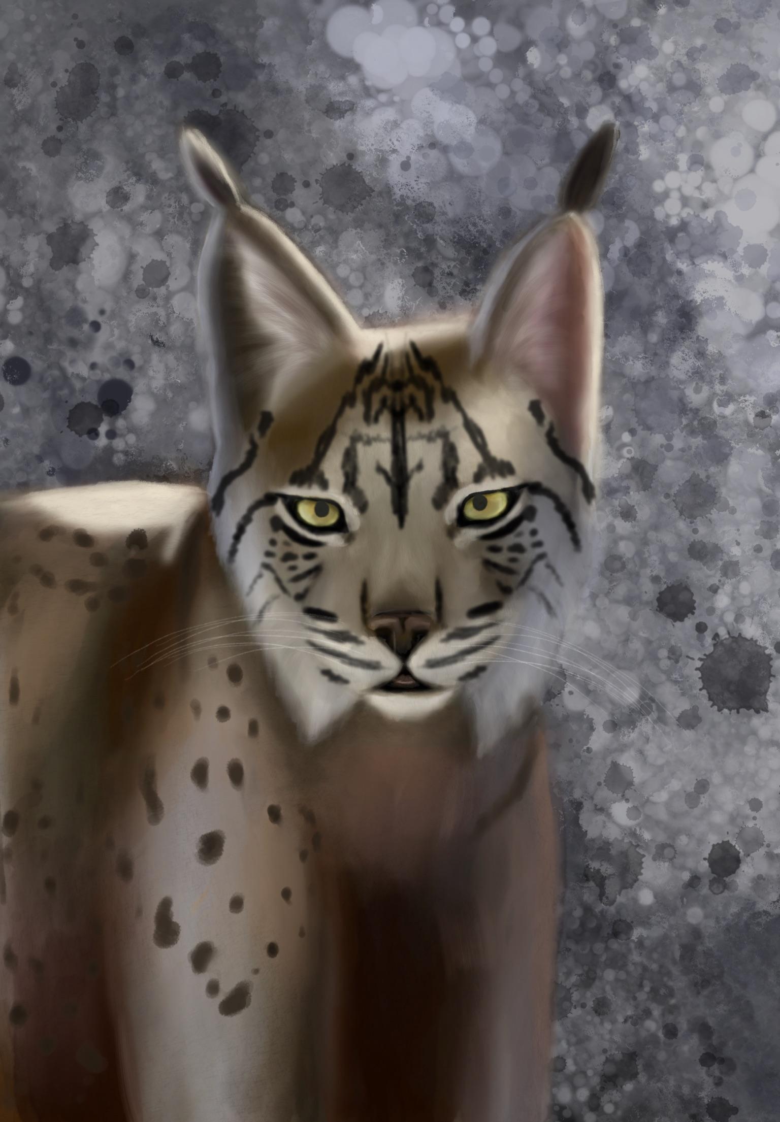 more-projects-from-class-img
