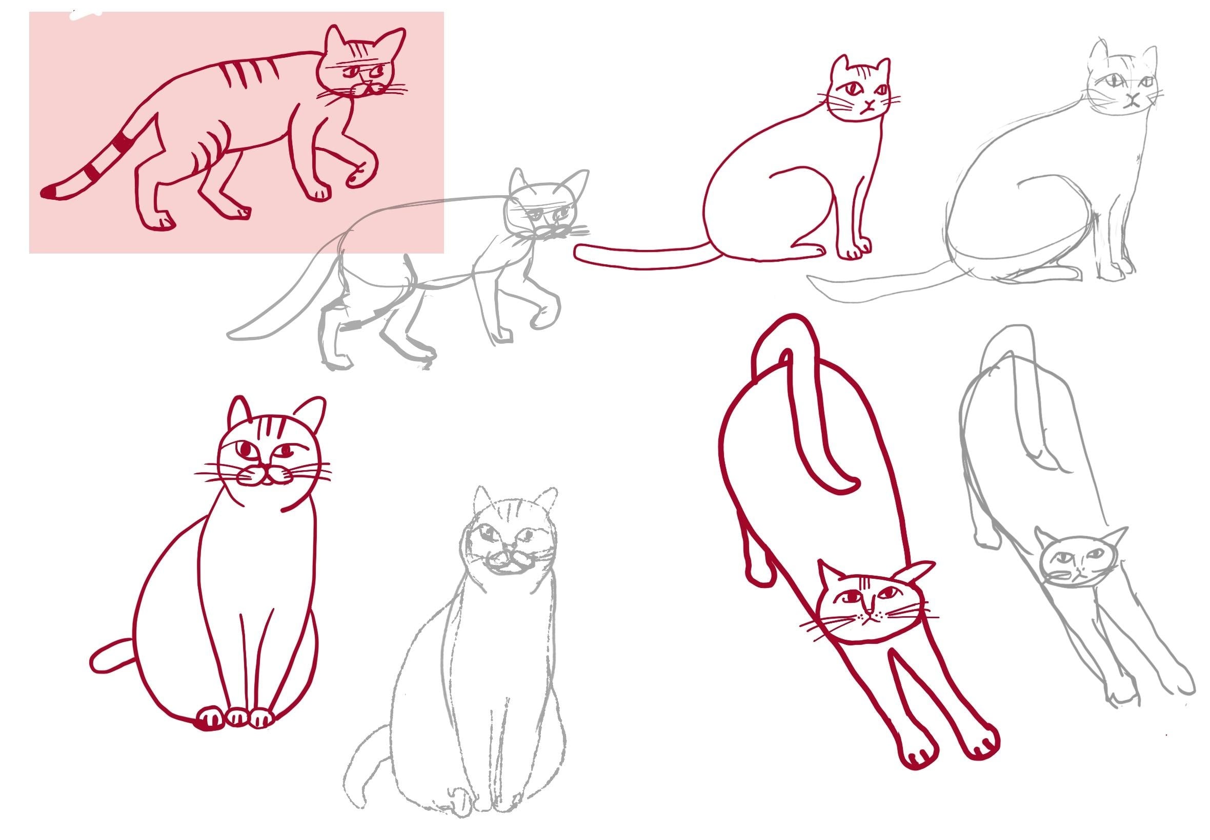 more-projects-from-class-img