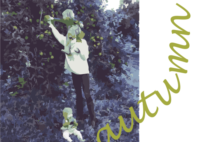 apple picking in blue