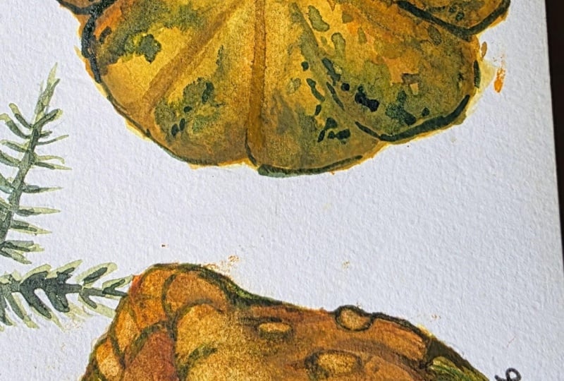Pumpkins