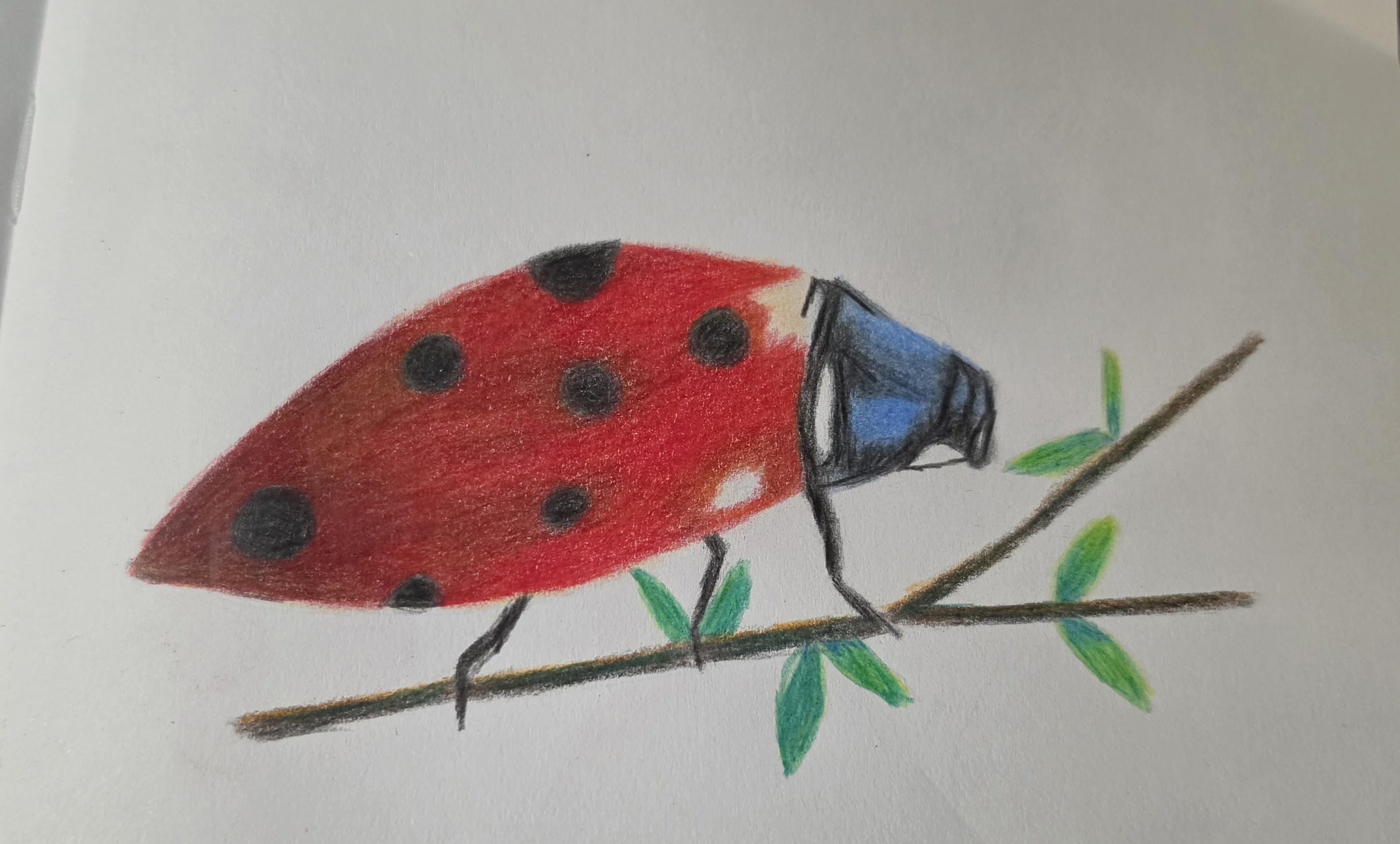more-projects-from-class-img