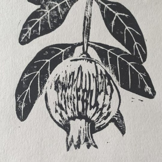 Profil Picture pomegranate