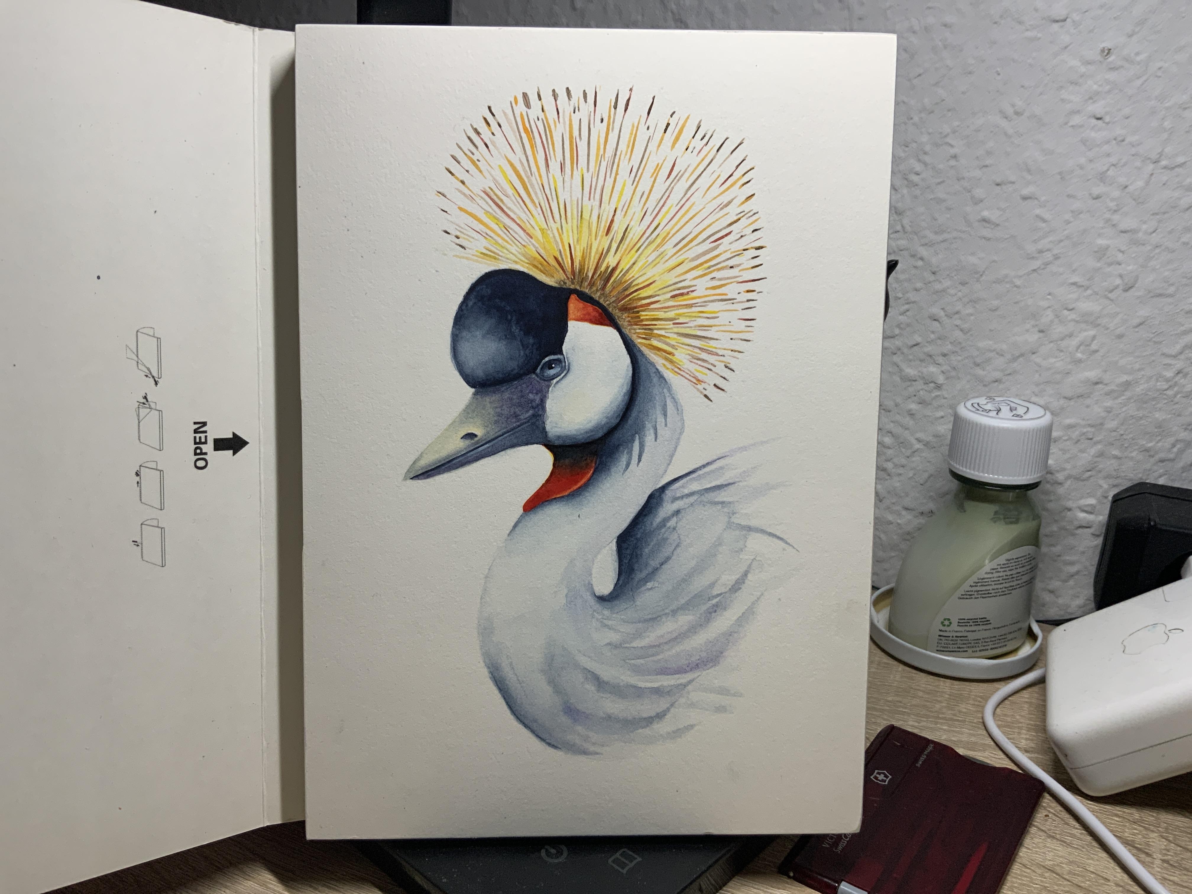 more-projects-from-class-img