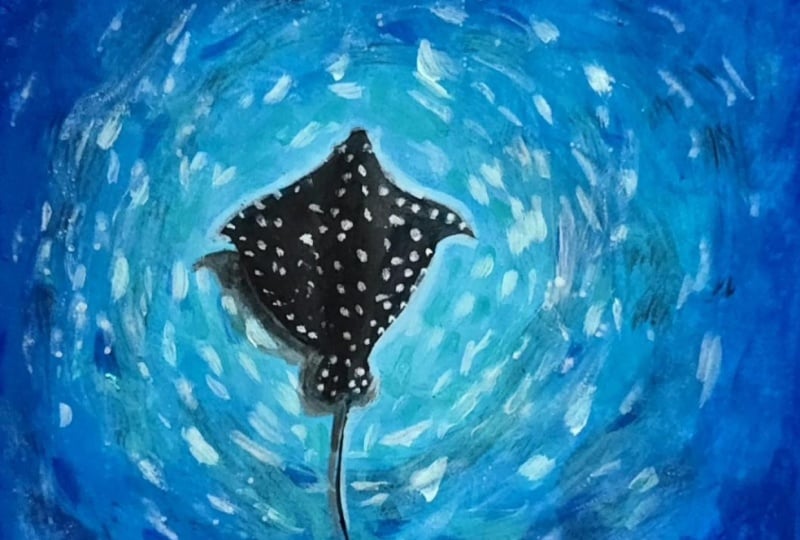 Manta ray