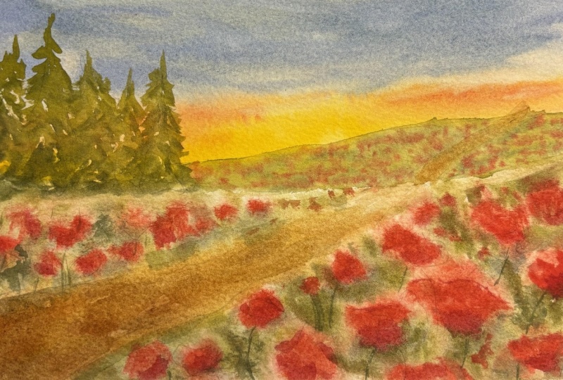 Poppy Field