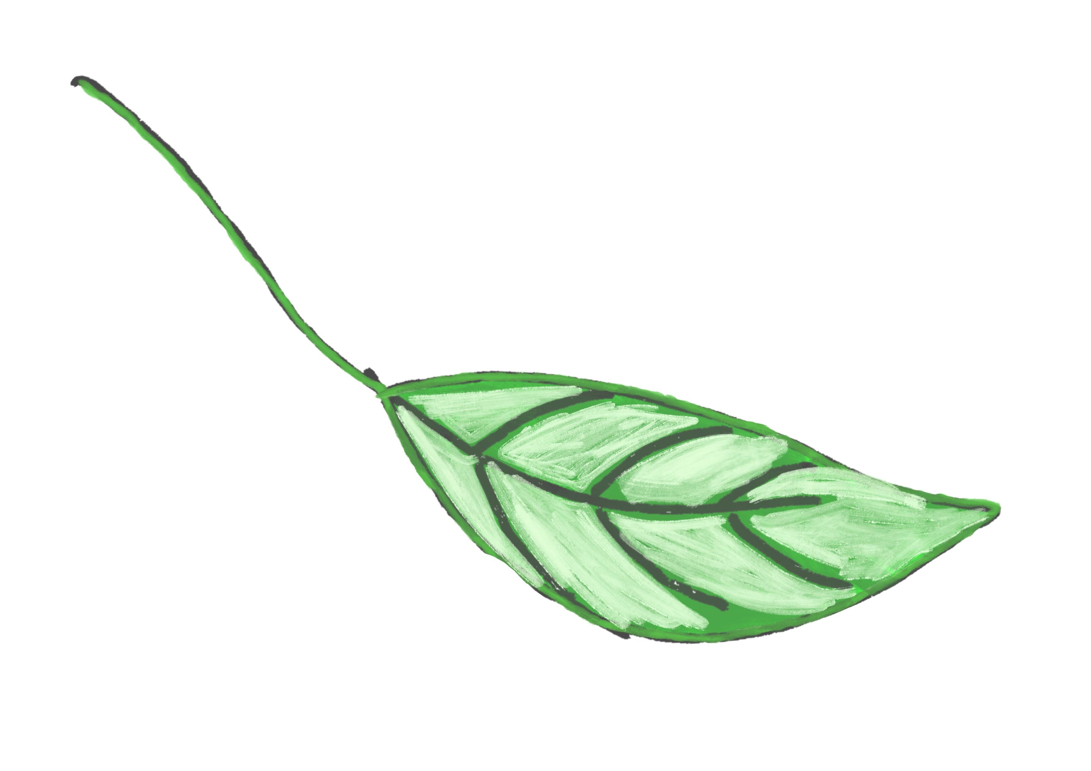 more-projects-from-class-img