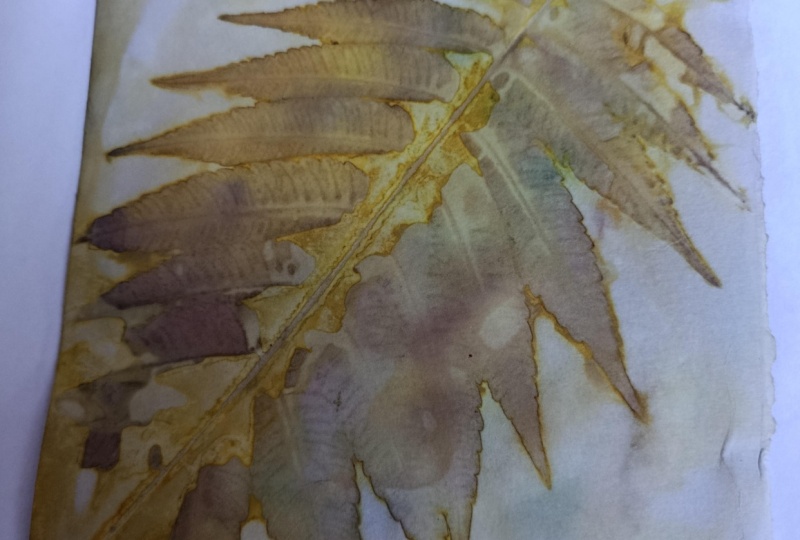 Eco-dyeing on paper