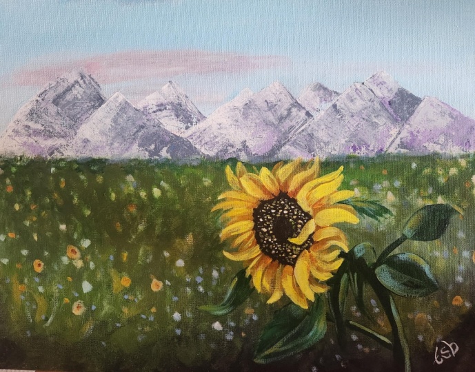 Sunflower