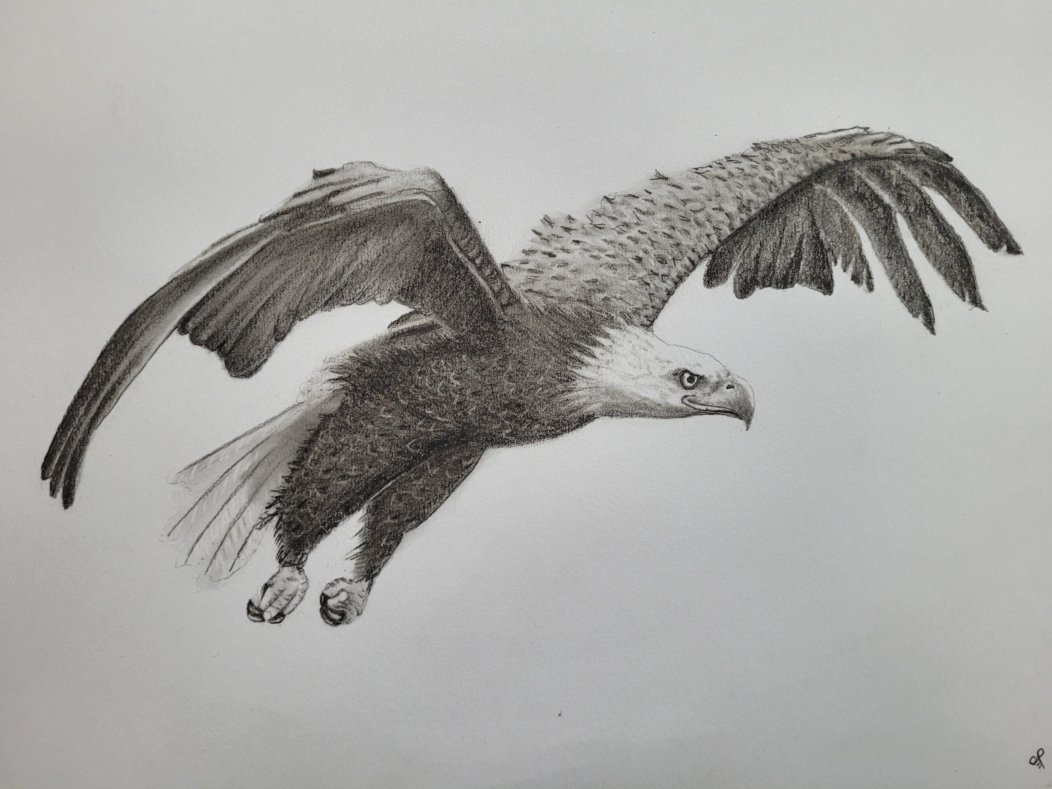 more-projects-from-class-img