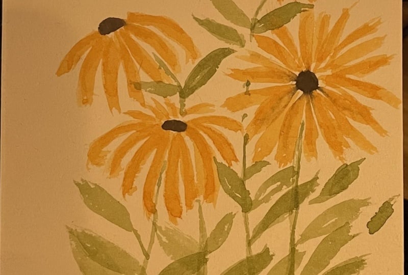 Black-eyed Susans