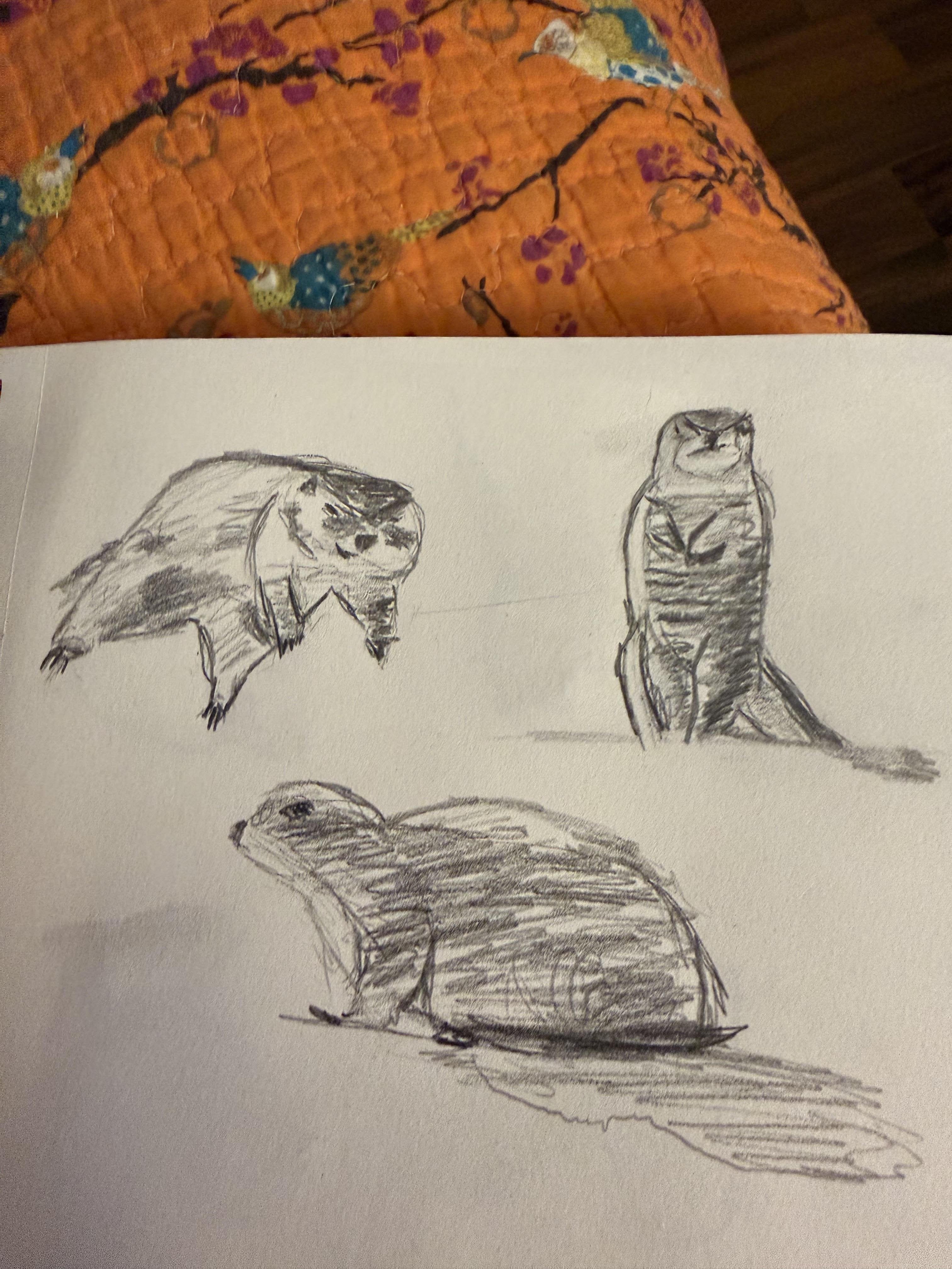 more-projects-from-class-img