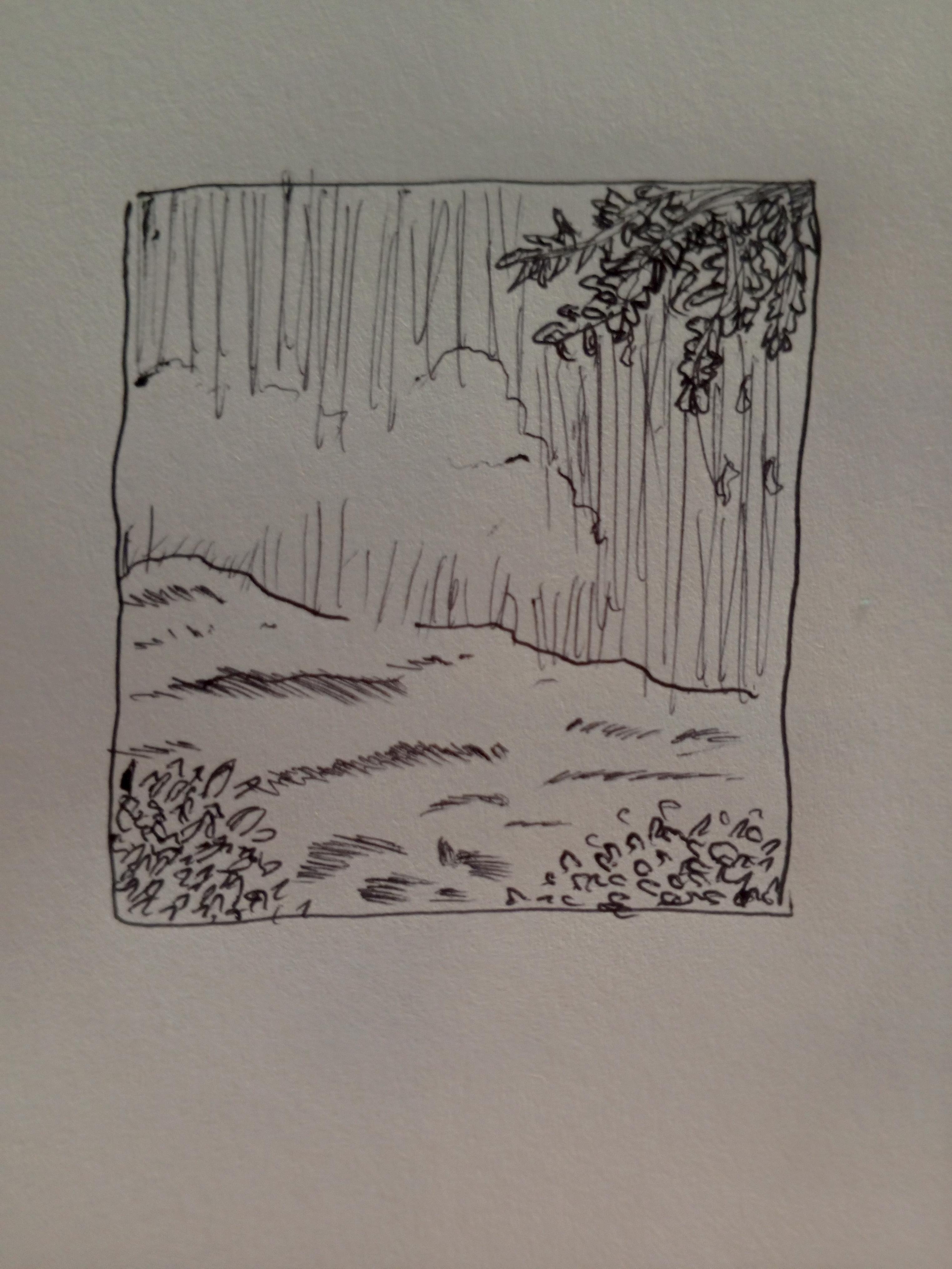 more-projects-from-class-img