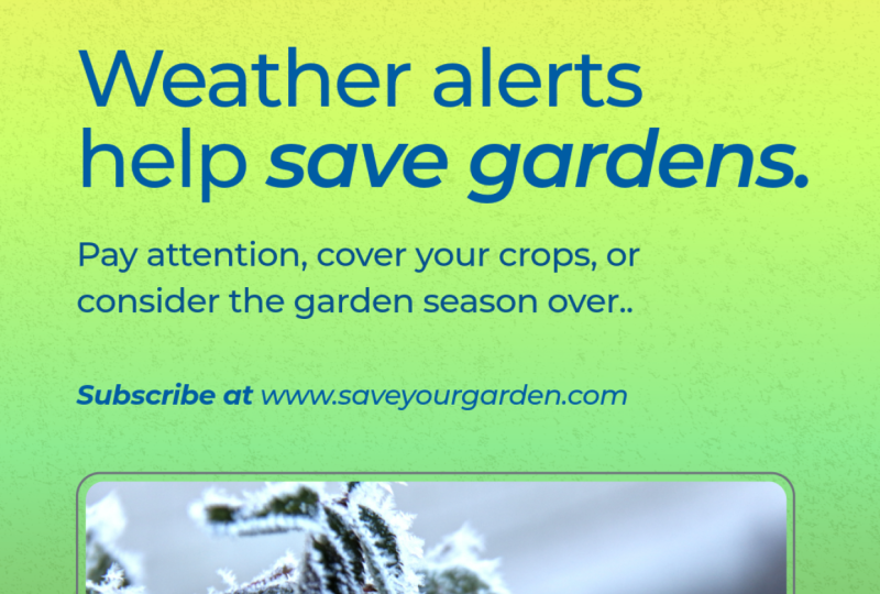 Weather Alert