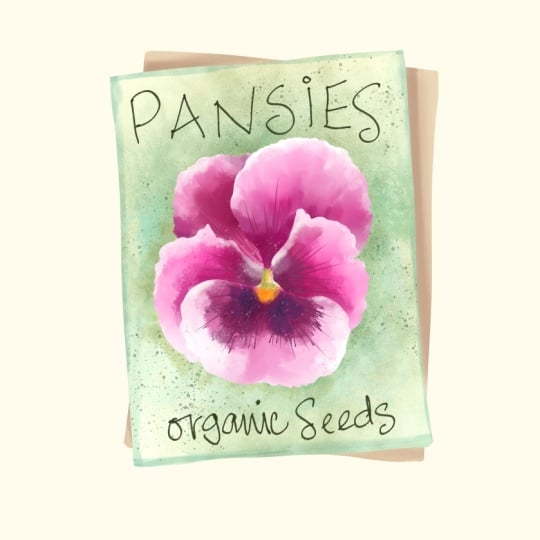 Pink Pansy seed packet