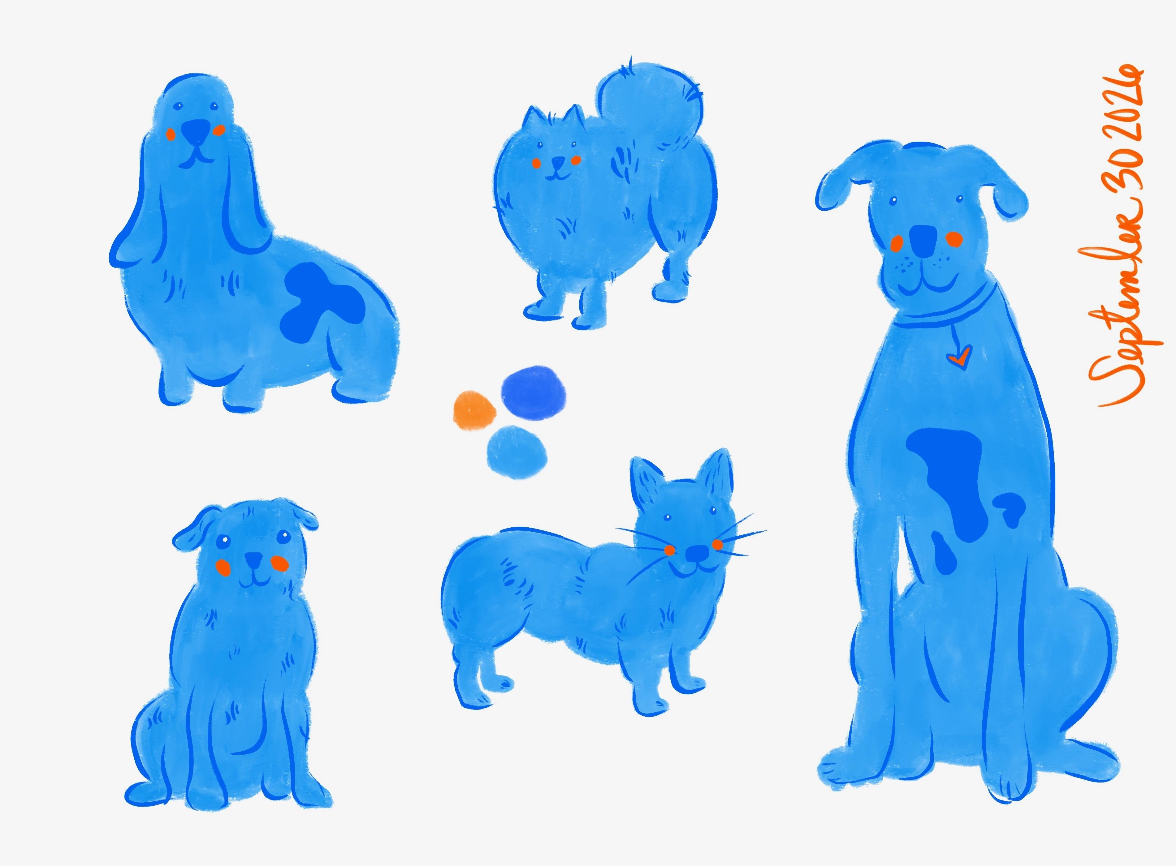more-projects-from-class-img