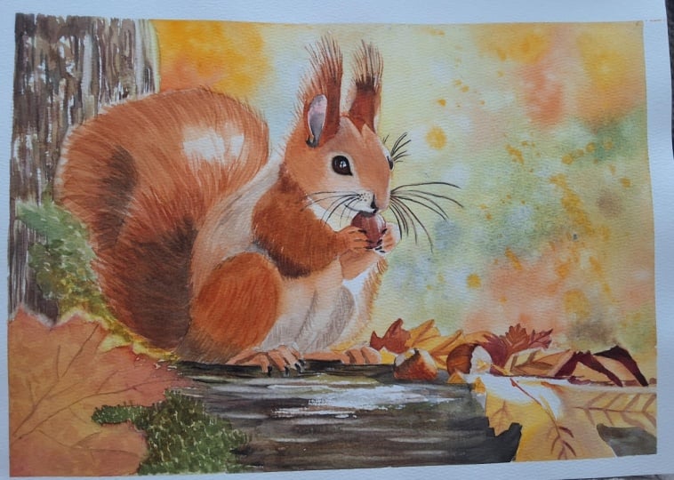 Autumn  squirrel