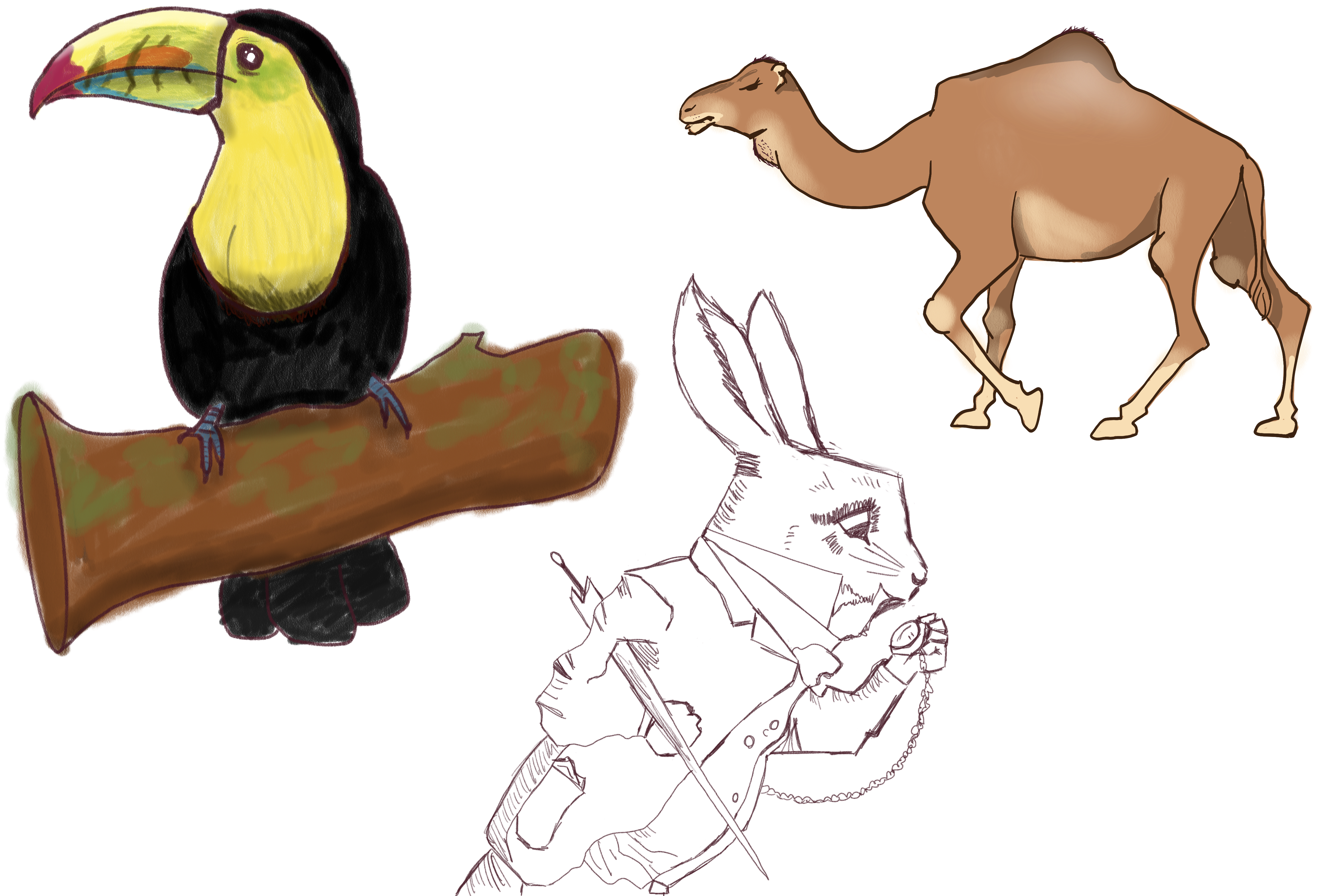 more-projects-from-class-img