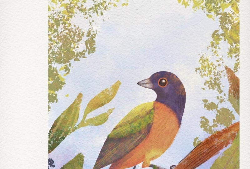 Nature inspired color for digital art
