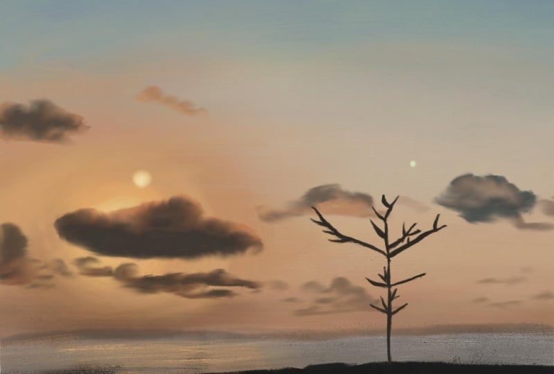 Sunset Skies