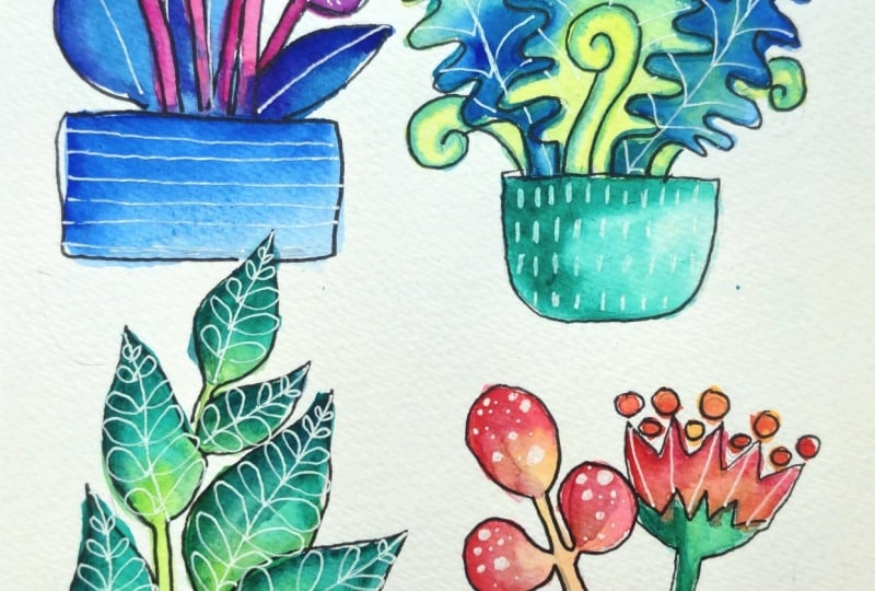 Rainbow Plants