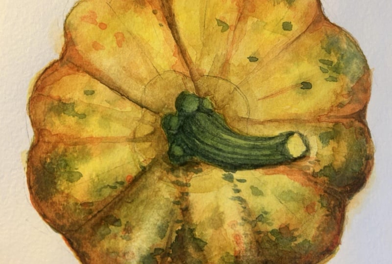 Watercolor pumpkin