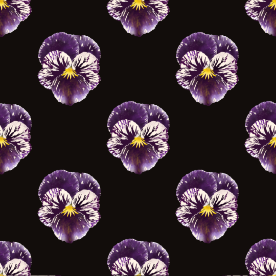 Pansy Pattern