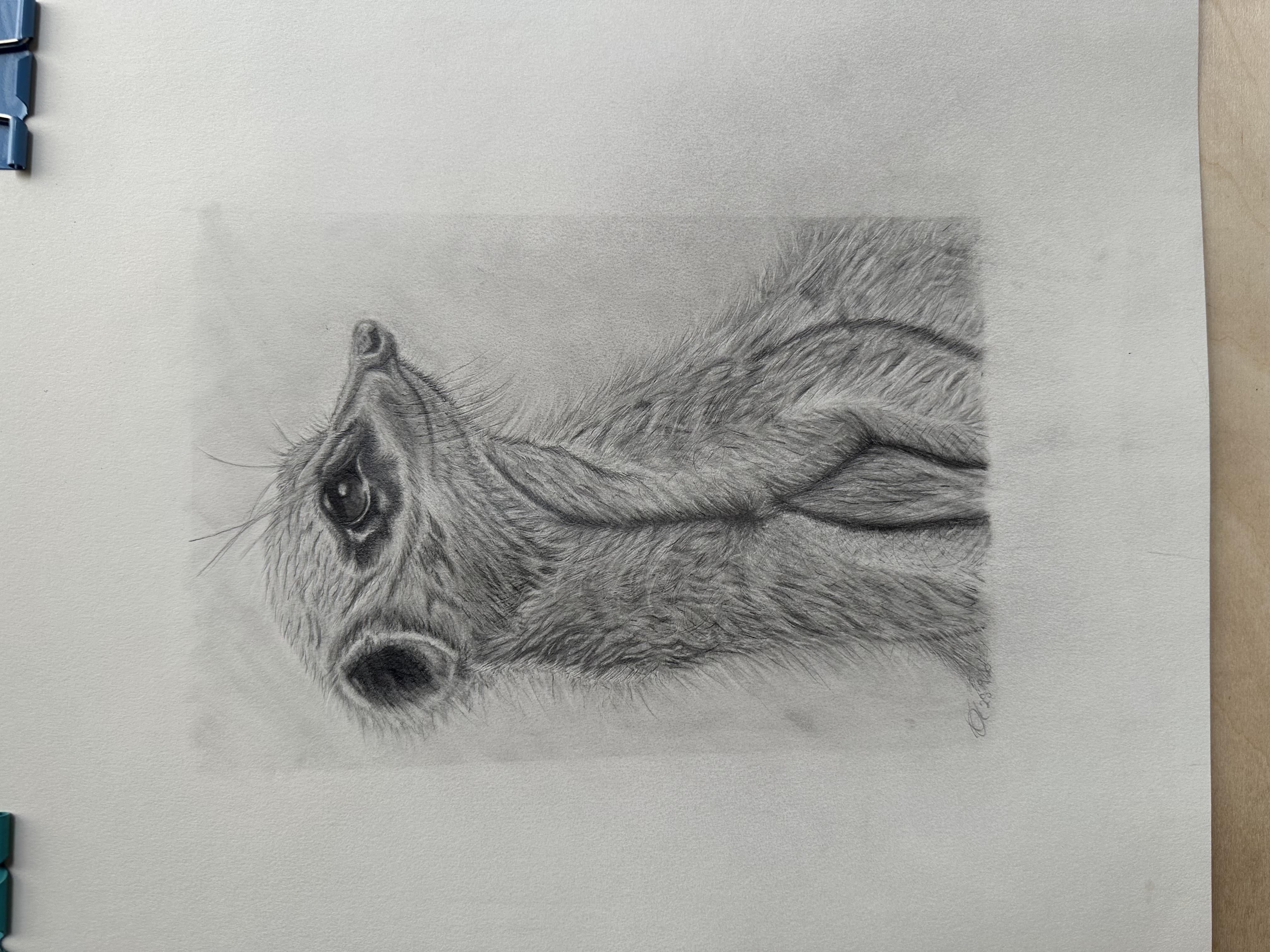 more-projects-from-class-img