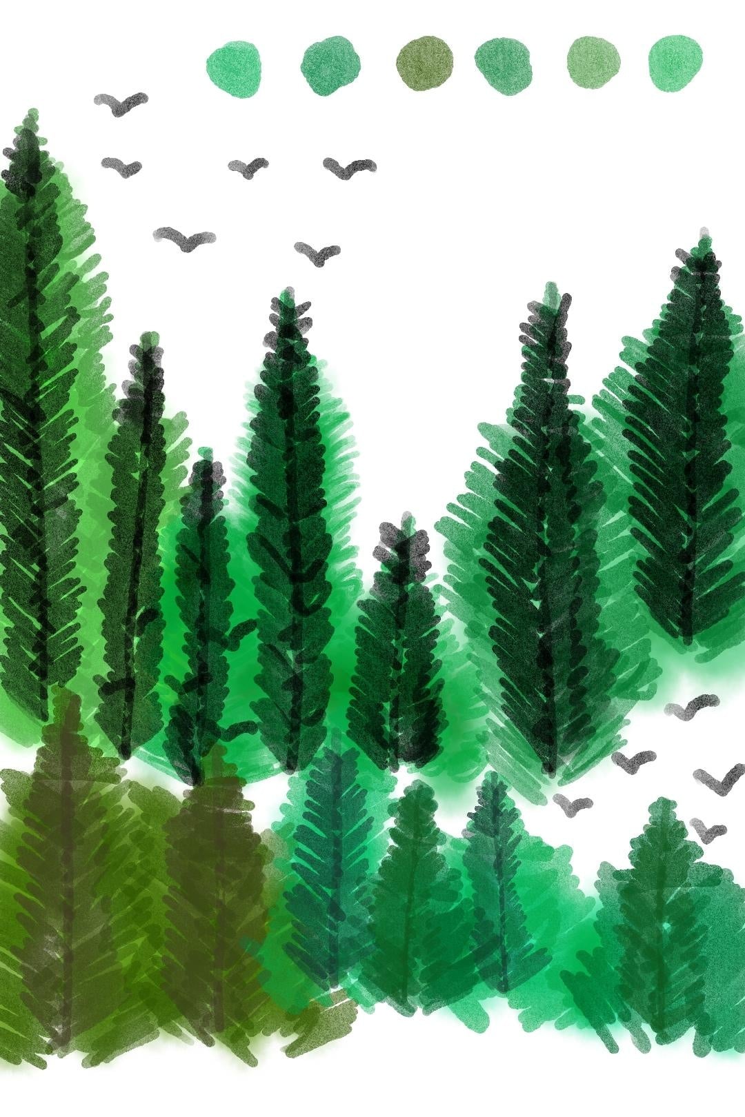 more-projects-from-class-img
