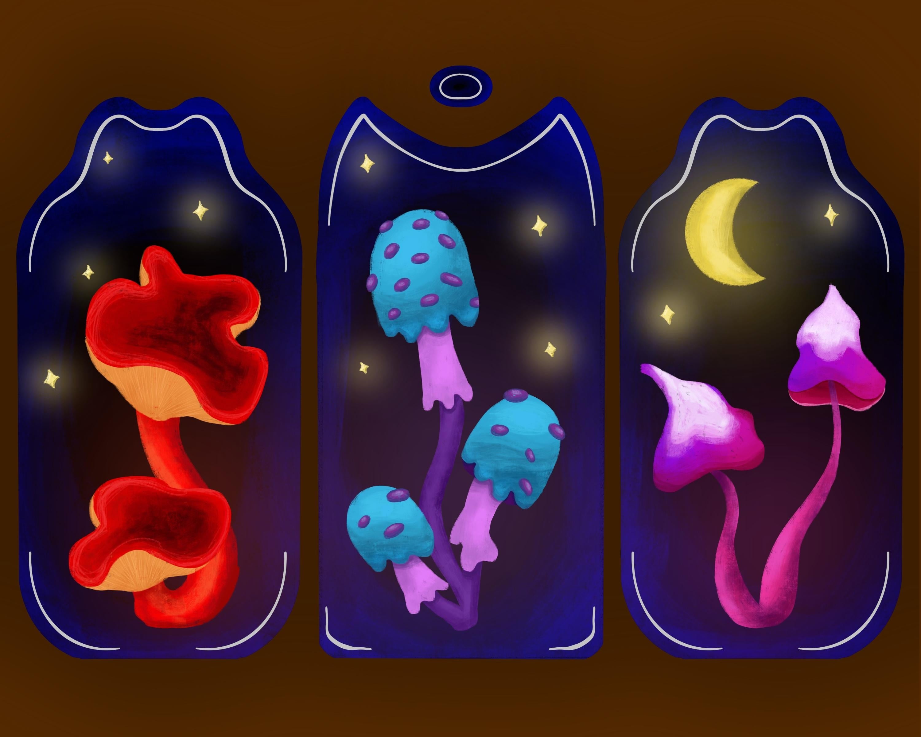 more-projects-from-class-img