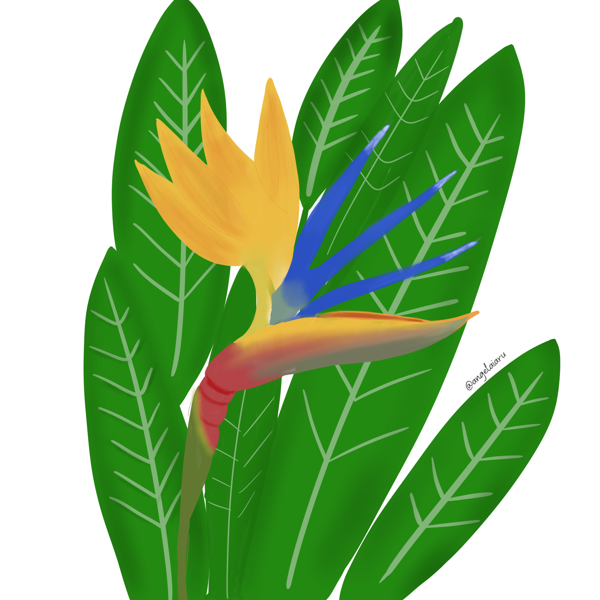 more-projects-from-class-img