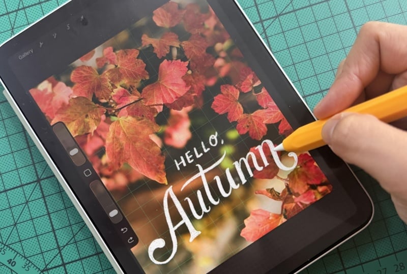 Hello, Autumn 🍁