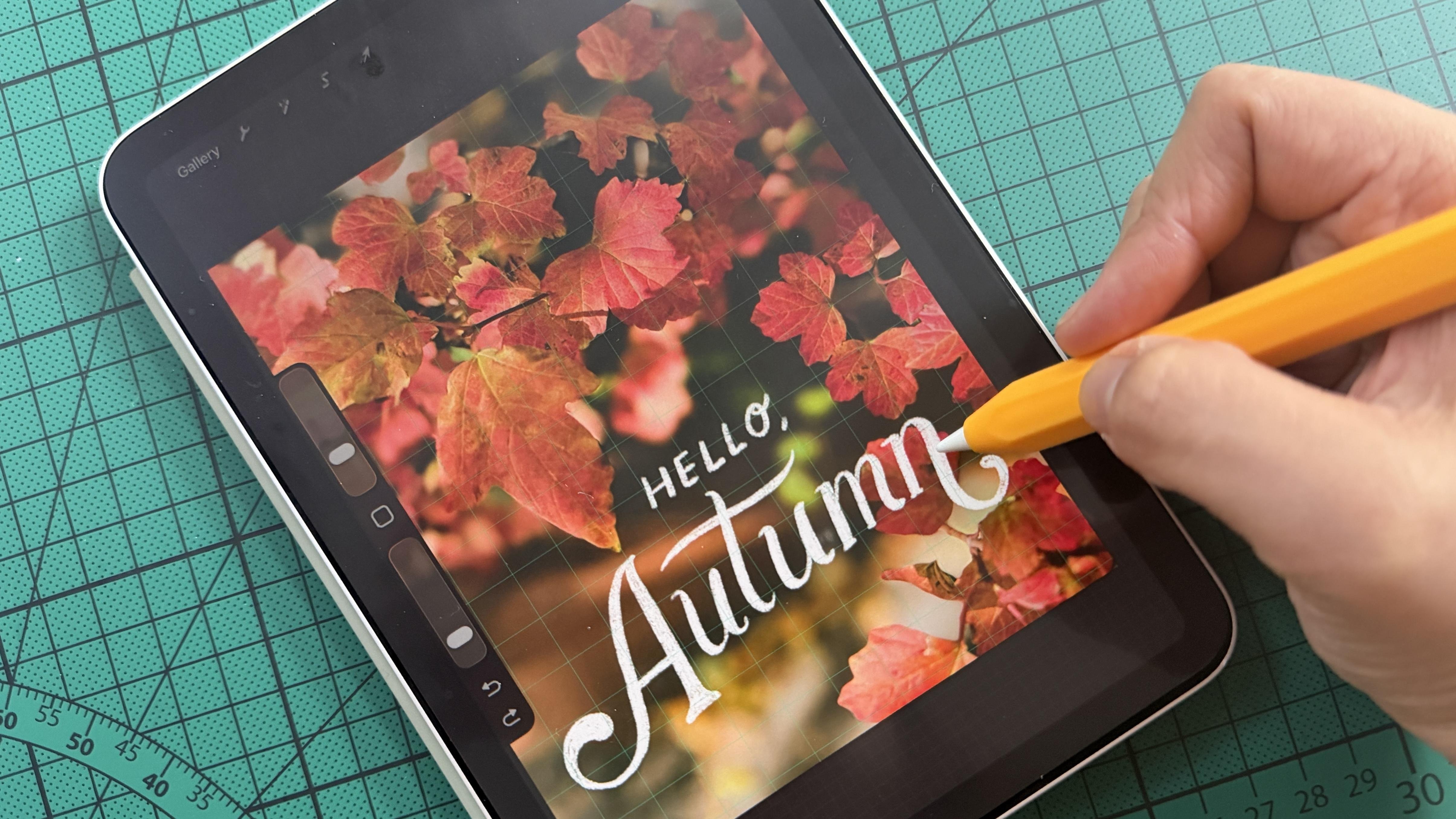Hello, Autumn 🍁