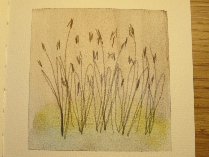 Watercolor Etching