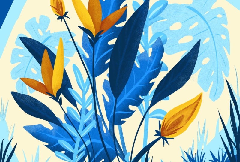 Botanicals