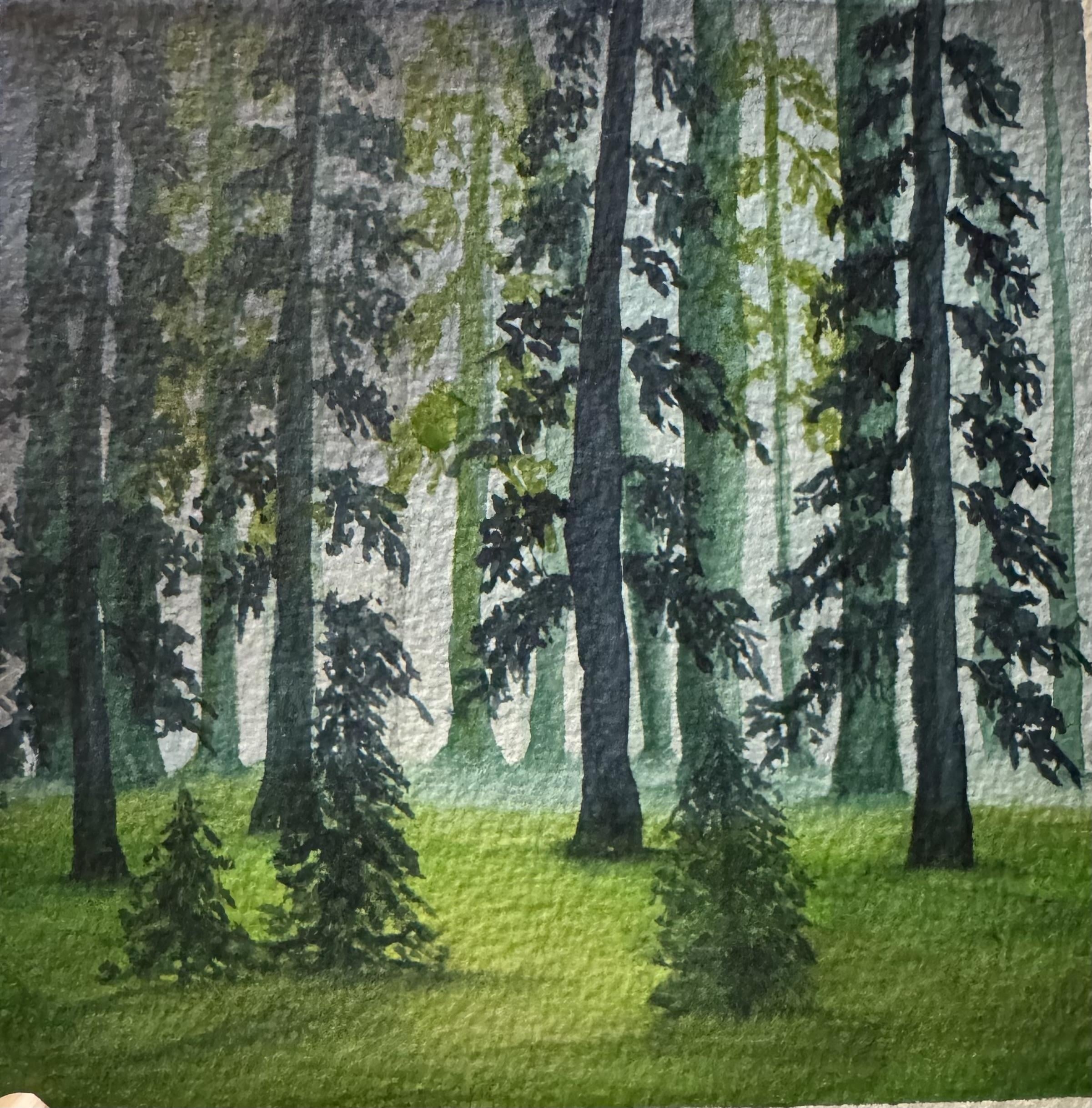 more-projects-from-class-img