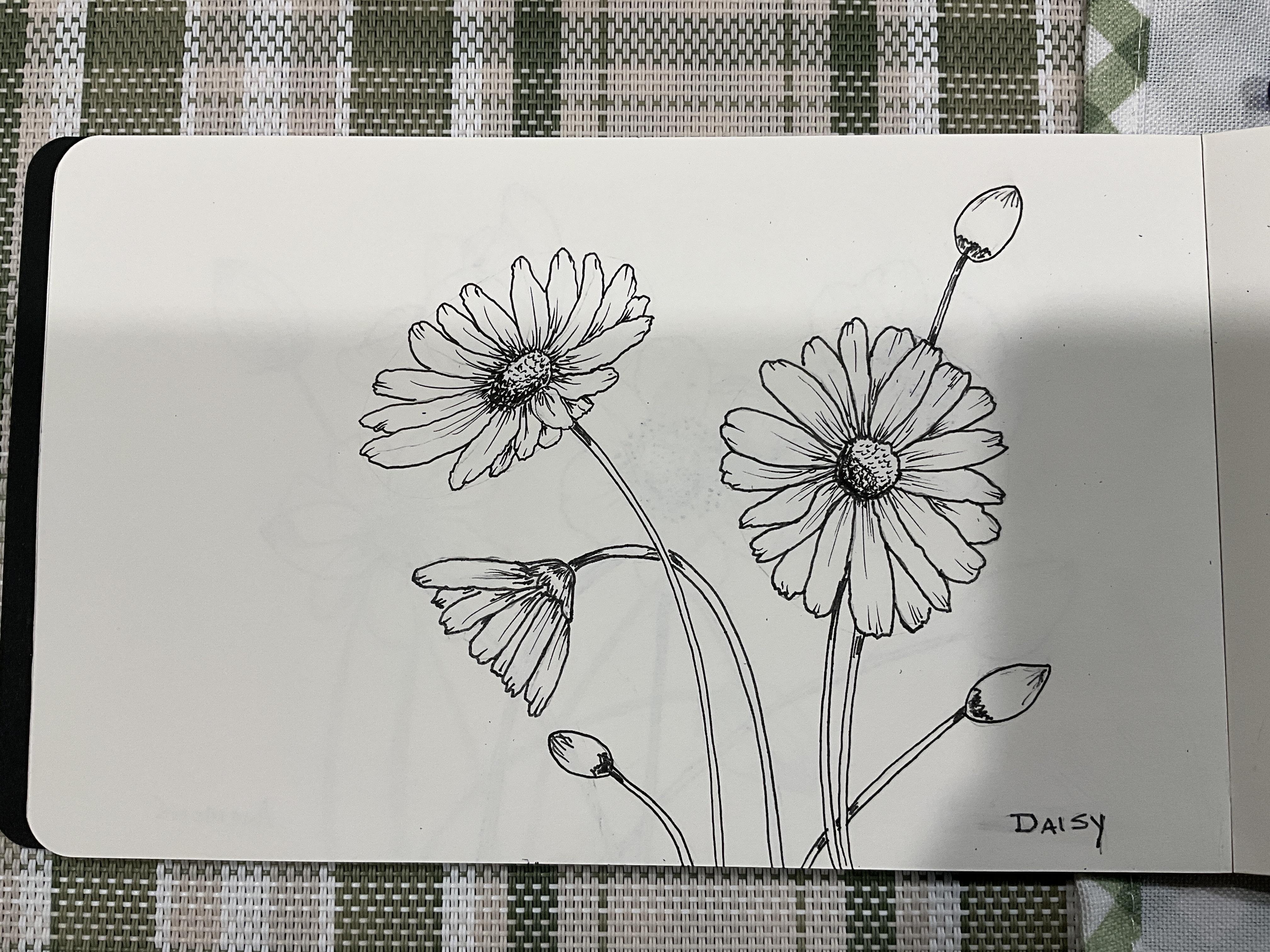 more-projects-from-class-img