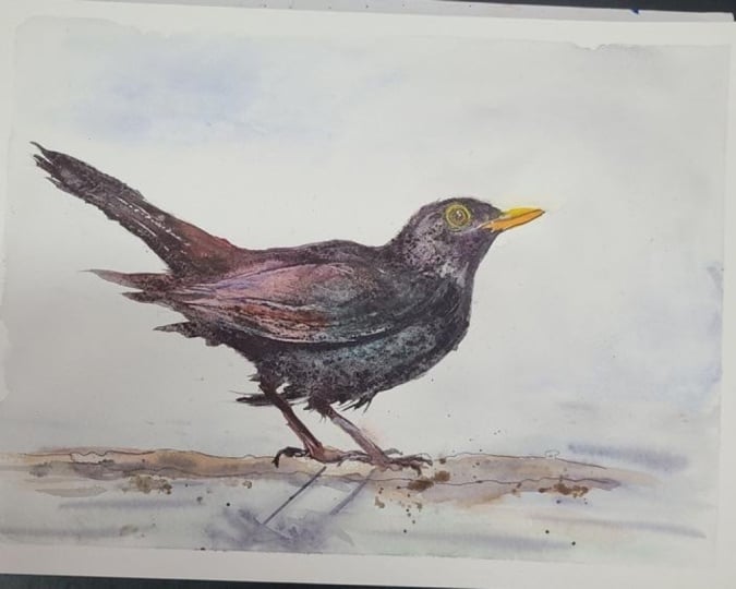 Blackbird with Will