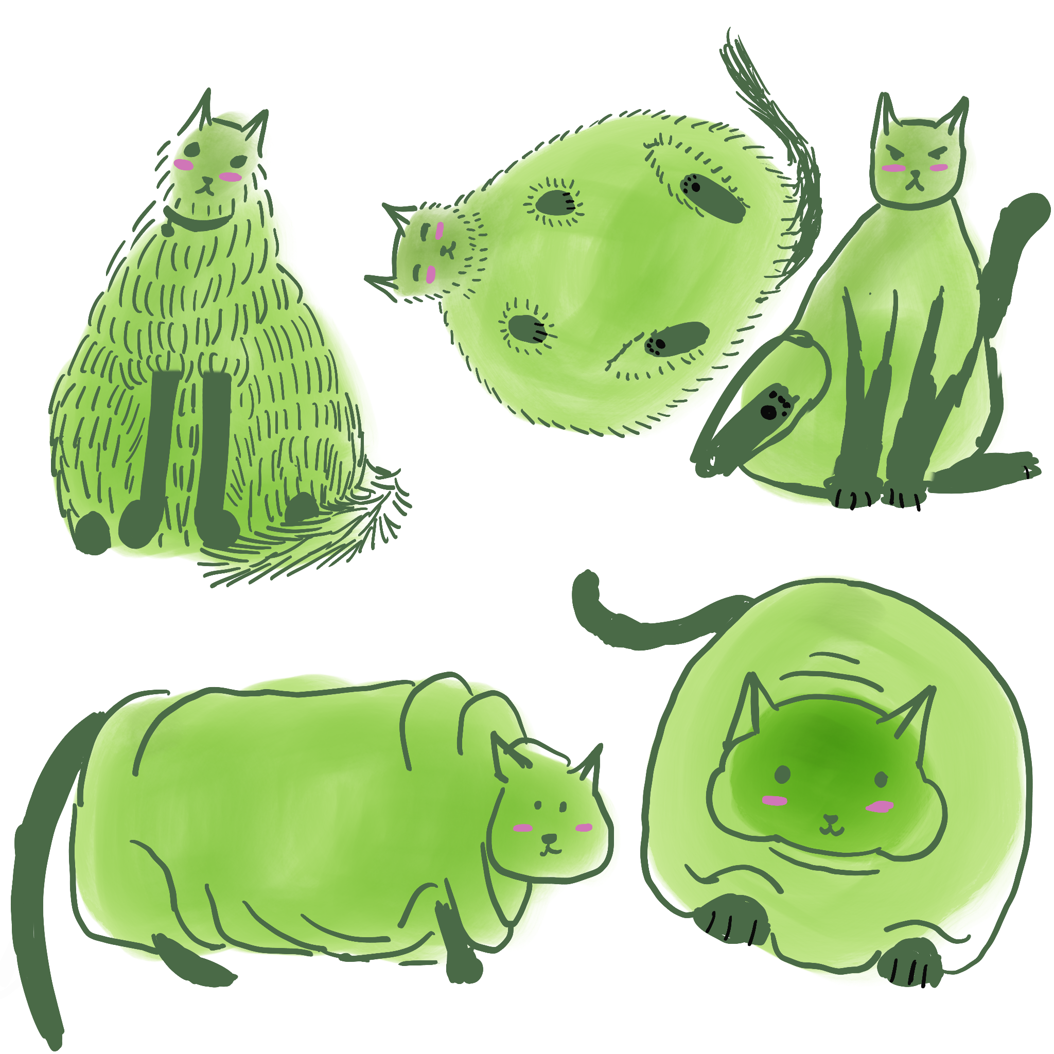more-projects-from-class-img