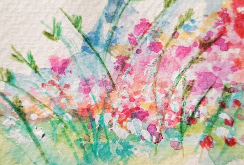 Watercolor polaroids. Wildflowers