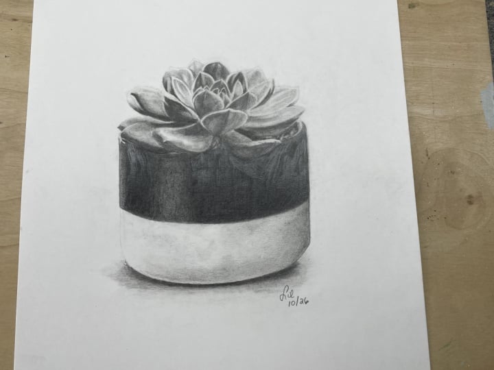 Succulent in graphite