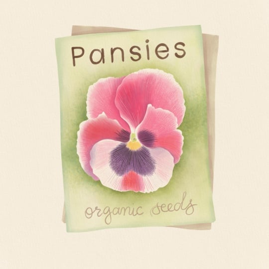 Seed package in watercolor