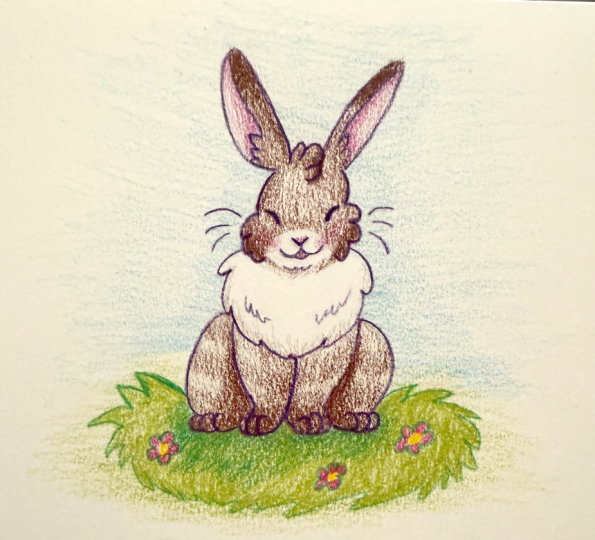 Rabbit!