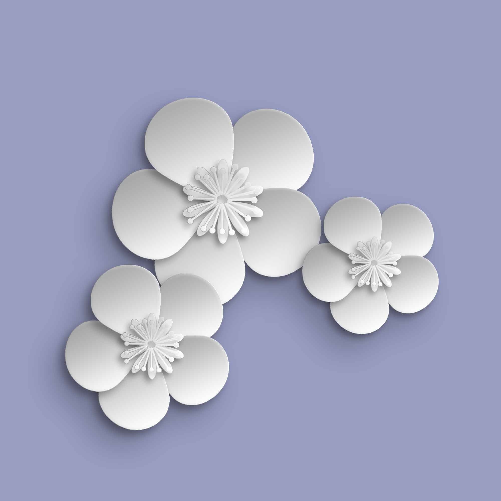 Papercut Flowers - student project