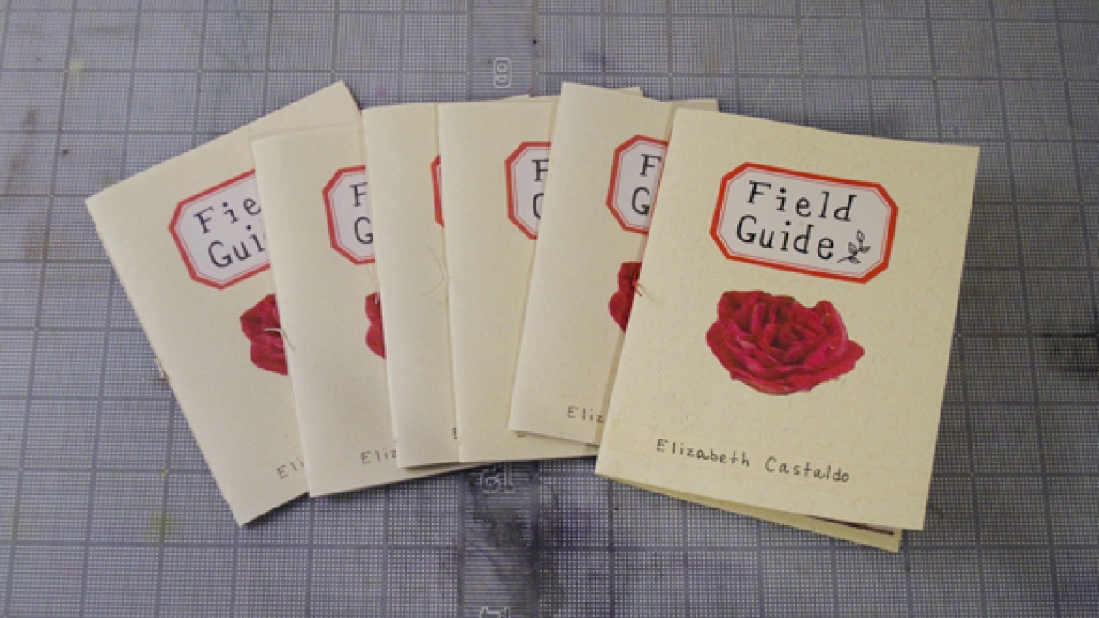 *Sample Project* "Field Guide" - student project