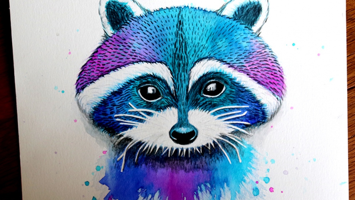 Raccon - student project